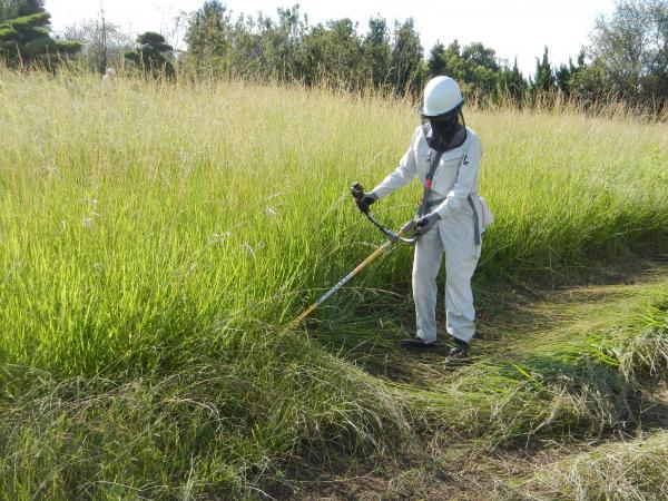 除草(刈払機)