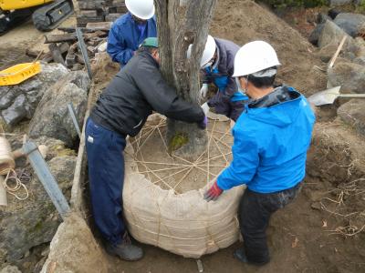 樹木の植栽